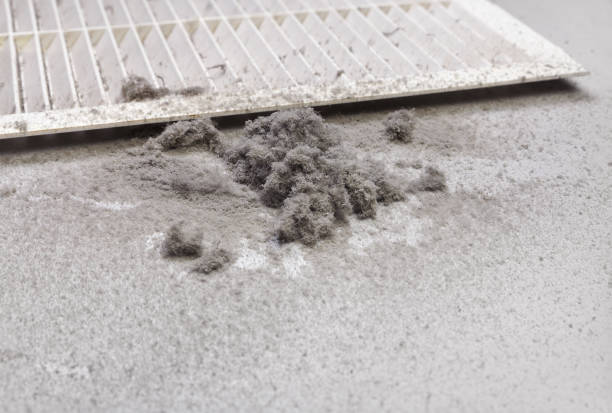 Best HVAC System Cleaning  in Eaton Rapids, MI