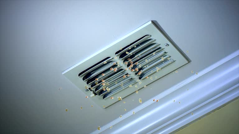 Best Air Duct Cleaning Near Me  in Eaton Rapids, MI