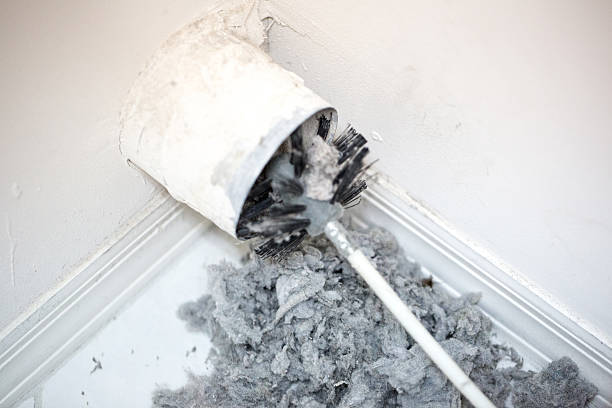 Best Home Air Vent Cleaning  in Eaton Rapids, MI