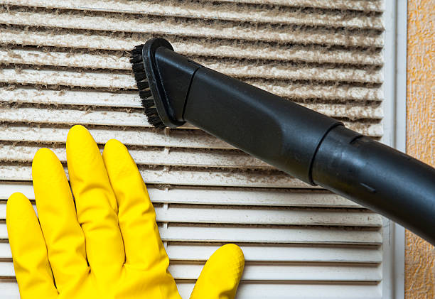 Best Best Air Duct Cleaning Company  in Eaton Rapids, MI